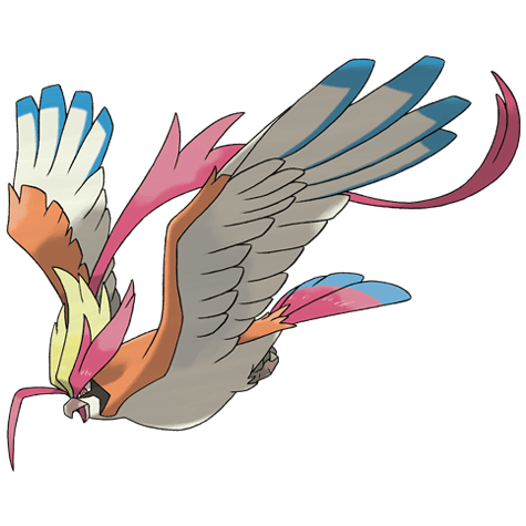 大比鸟（超级进化）